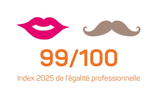Index égalité professionnelle TMH 2025