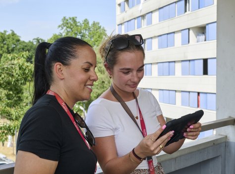 Parcours professionnel chez TMH