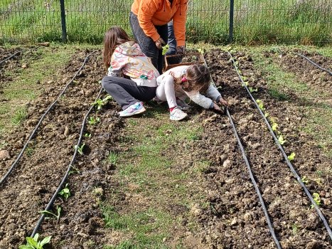 Atelier potager aux Demeures de Bartha