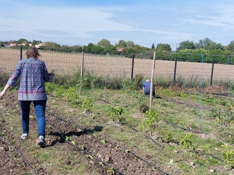 Atelier potager aux Demeures de Bartha