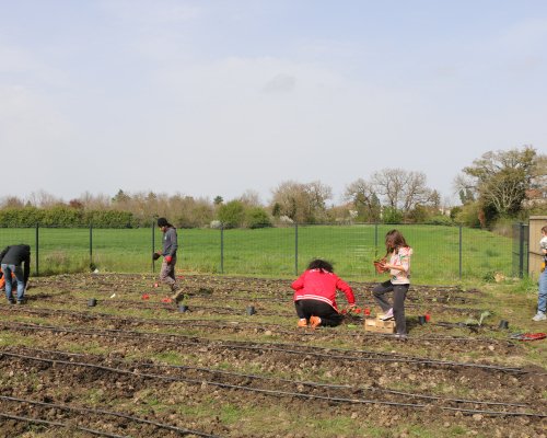 Le jardin partagé des Demeures de Bartha