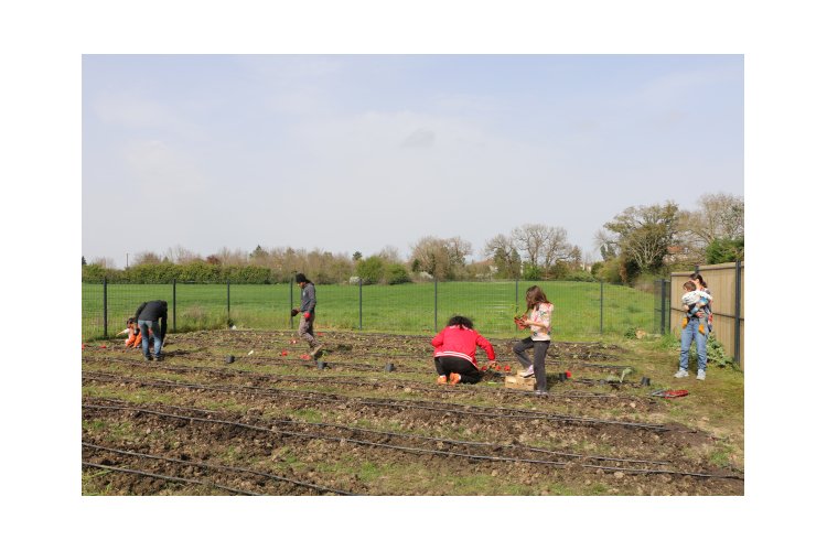 Atelier potager aux Demeures de Bartha