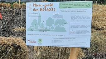 PLANTATION DE LA 2EME MICRO-FORÊT DE L'ANNÉE POUR TOULOUSE MÉTROPOLE HABITAT