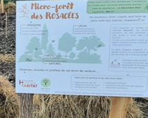 PLANTATION DE LA 2EME MICRO-FORÊT DE L'ANNÉE POUR TOULOUSE MÉTROPOLE HABITAT