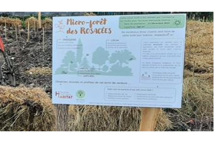 PLANTATION DE LA 2EME MICRO-FORÊT DE L'ANNÉE POUR TOULOUSE MÉTROPOLE HABITAT