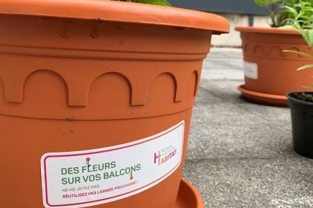 CARTON PLEIN POUR LA 2ÉME ÉDITION DES BALCONS FLEURIS !