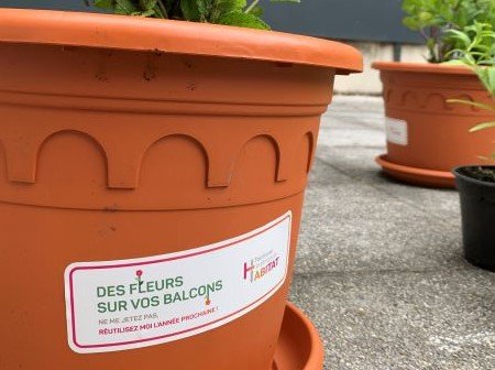 CARTON PLEIN POUR LA 2ÉME ÉDITION DES BALCONS FLEURIS !