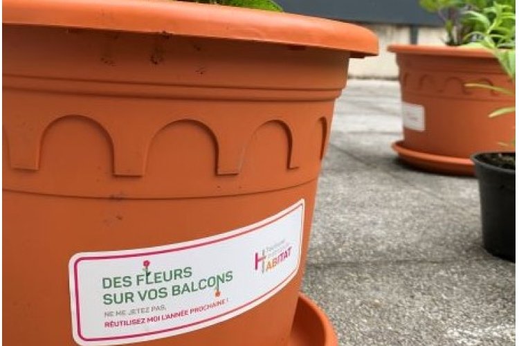 CARTON PLEIN POUR LA 2ÉME ÉDITION DES BALCONS FLEURIS !