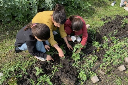 LES 48H DE L'AGRICULTURE URBAINE