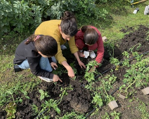 LES 48H DE L'AGRICULTURE URBAINE