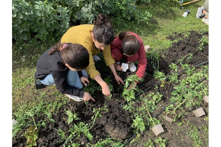 LES 48H DE L'AGRICULTURE URBAINE