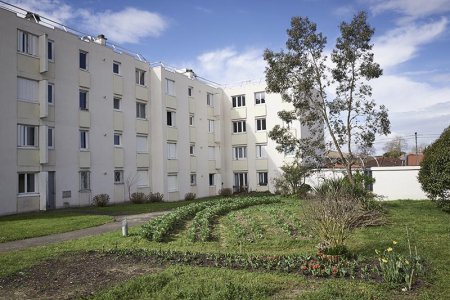 QUAND LE LOGEMENT SOCIAL FAVORISE LA NATURE EN VILLE !