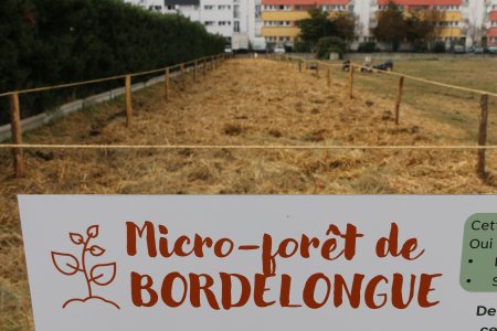 UNE PREMIÈRE MICRO-FORÊT