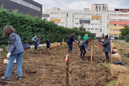 NOTRE PREMIÈRE MICRO-FORÊT