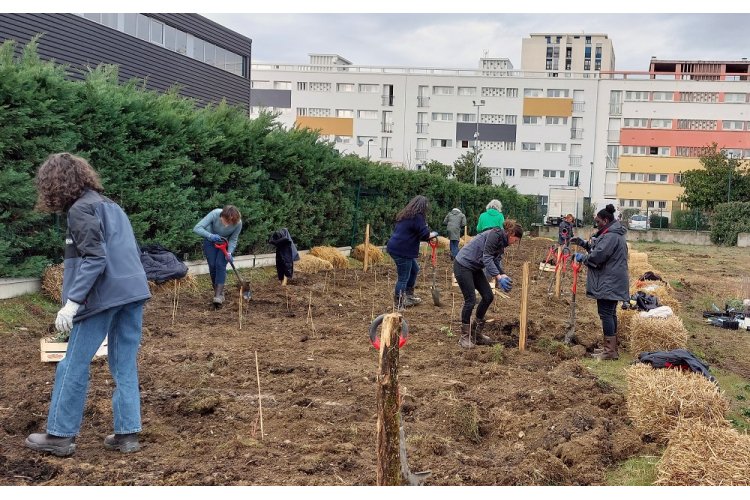 NOTRE PREMIÈRE MICRO-FORÊT