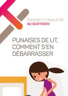 Petit guide locataire - Punaises de lit